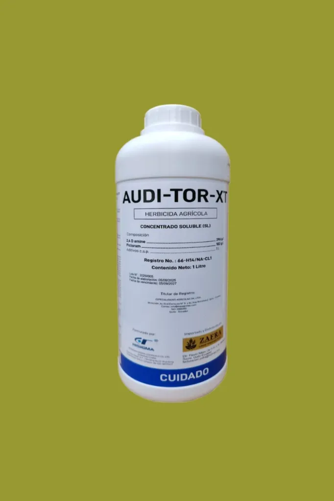 Auditor XL 1000 ml
