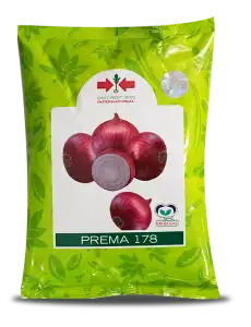 Semillas de cebolla