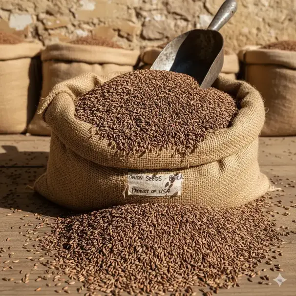 Semillas de cebolla a granel