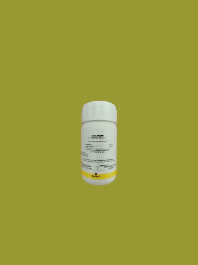Octagon 100 ml